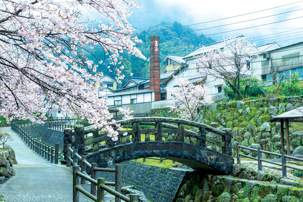 Fukuoka in the springtime